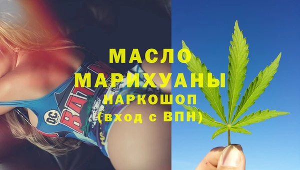 индика Аркадак