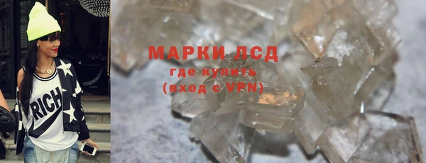 индика Аркадак