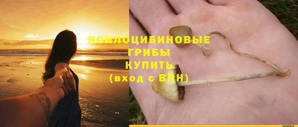 индика Аркадак