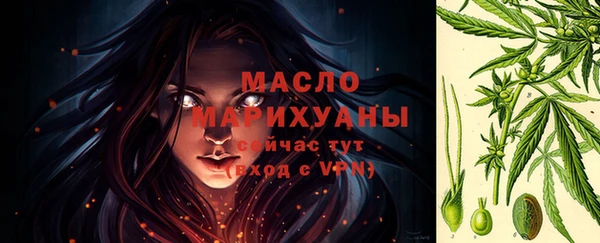 индика Аркадак