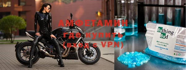 индика Аркадак