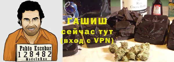индика Аркадак