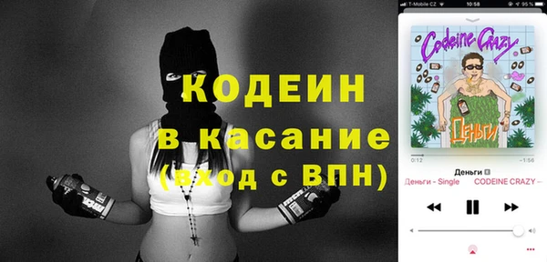 индика Аркадак