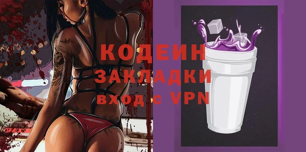индика Аркадак